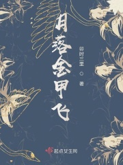 dnf圣骑士装备