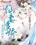 保镖小说