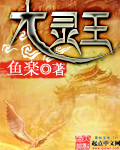 h文站着从后面挺进孕妇