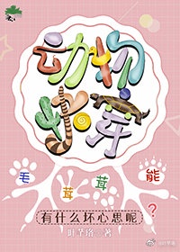 小娘惹10一45集