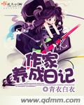铁血东北军
