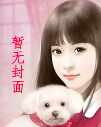 四副两高