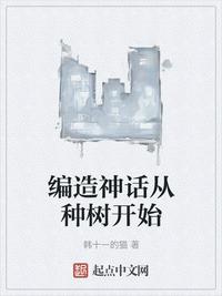 风筝电视剧在线