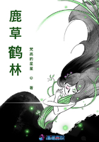 极品开光师李南方小说