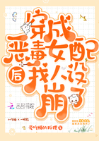 妻子出轨官场小说