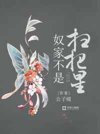 隐婚总裁五枂