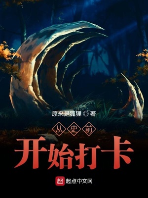 龙腾网三泰虎翻译