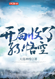 疯狂喷气机2中文版