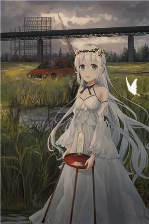 嫖鸭