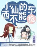 丑闻小说