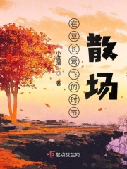 合约情人