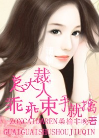 错痕低糖海苔饼书本网