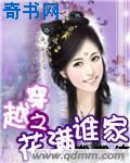 一个人看的www片高清小说