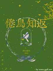 温柔以待H