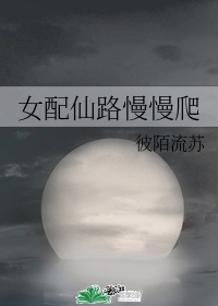 迪拉夫人第一季电视剧在线观看