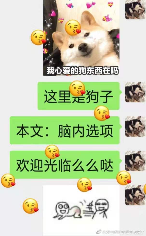 我的砍价女王