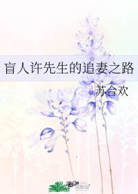 2024午夜最新褔利