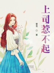 塞上曲小说文阅读