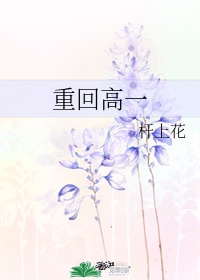 穿越之大清民间皇子