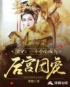 野草集在线观看视频免费2024