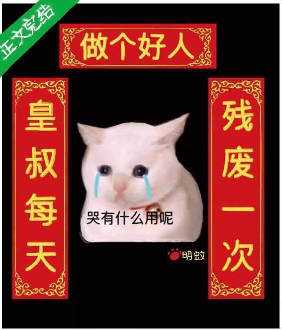陆雨棠