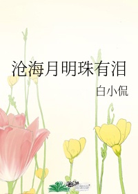 美女黄色软件