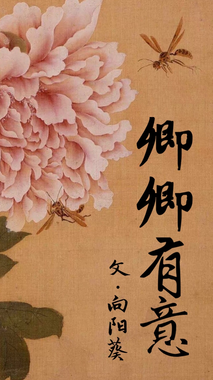自拍一页