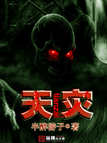 先生你是谁txt