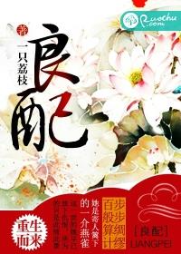0852小说