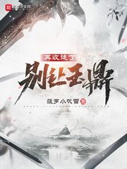 亮剑二
