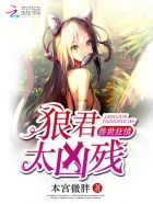 粗暴的纯情