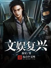 迷网追凶