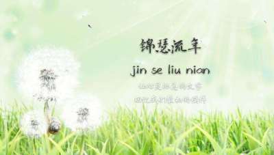 国产免费啪视频观看网站