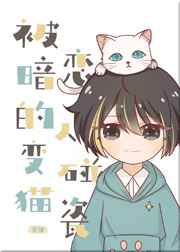 色青片大全