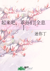 重生鸡毛飞上天之同人