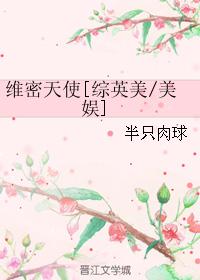 穷游青藏第53章大结局