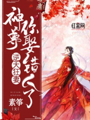 苏络唐少雍的律师小说免费阅读