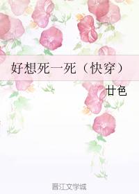 勇敢的心小说