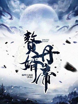公子何时休