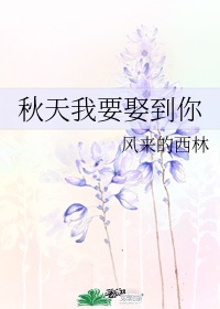 拯救者领域