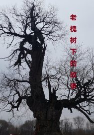 tokyohot闷绝地狱水责奸