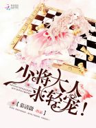 女婿江峰和沈曼的小说