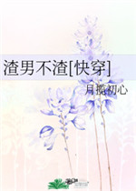 麻豆传播媒体APP大全免费入口