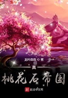 hd和bd哪个清晰