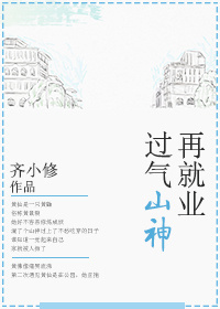 支付神探