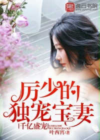 ibox下载