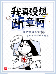 亮剑之铁血苍狼