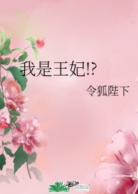 无敌副村长