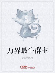 皮卡丘动漫