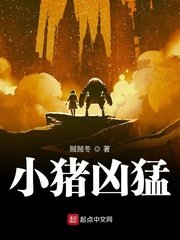 韩国拍拍拍视频1000部